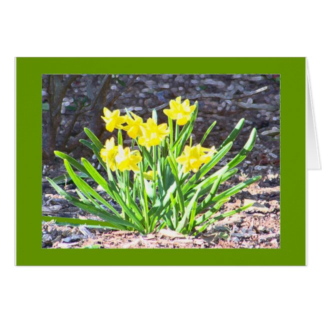 carte mini-jonquilles (Devant horizontal)