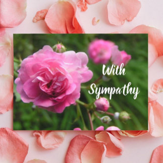 Carte Miniature Pink Roses Large Font Sympathy Card