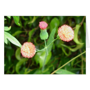 Carte minuscule de pom-pom girl