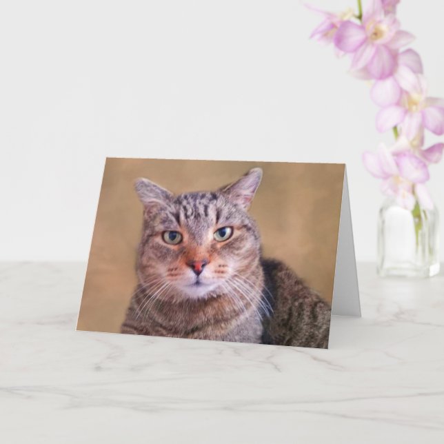 Carte Minutieux Kitty Se Bien (Orchidée)