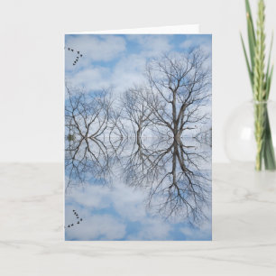 Carte Miroir