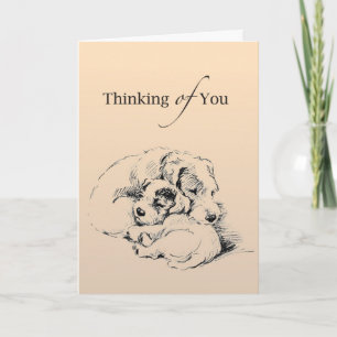 Carte Miss Chiens Couteux