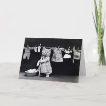 Miss Kitten Doing Blanchisserie