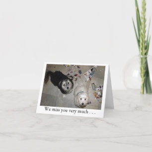 Carte Miss Puppies