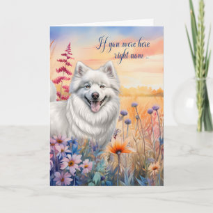 Carte Miss Vous American Eskimo Chien Fleur sauvage Mead