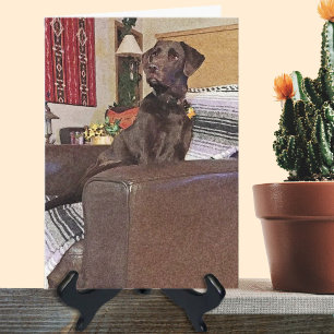 Carte Miss You Chocolate Labrador Retriever On Chair 