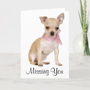 Carte Missing You Chihuahua Puppy Dog Greeting Card