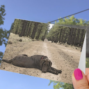 Carte Missing You Chocolate Lab on Forest Trail Template