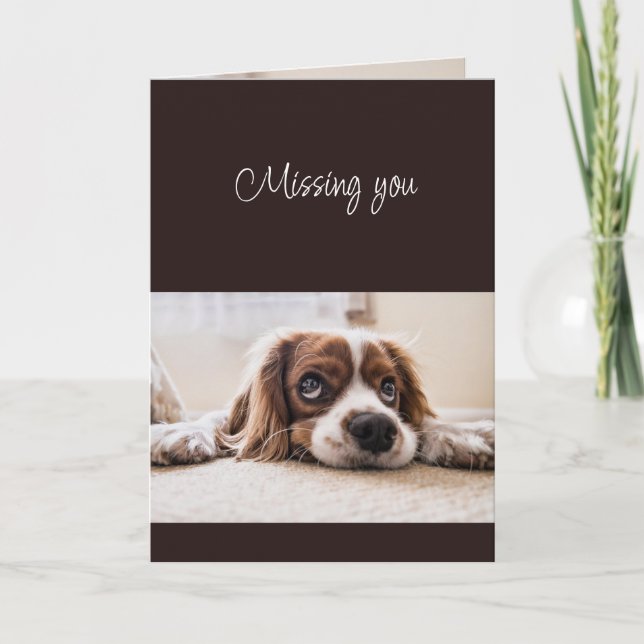 Carte Missing You How are You Sad Lonely Cute Dog (Devant)