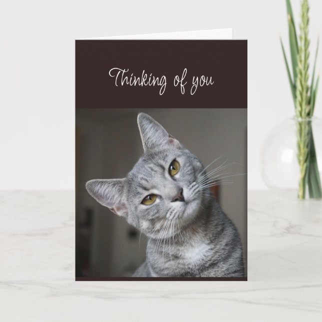 Carte Missing You Thinking of You Curious Cat (Devant)