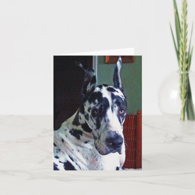 Carte 'Mister' Great Dane (Devant)