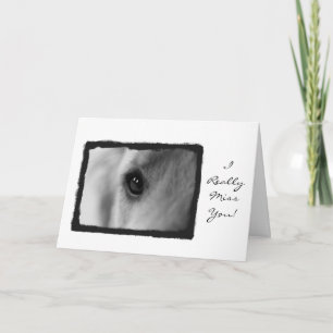 Carte Mlle que vous cardez