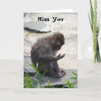 Carte Mlle You Monkey Card