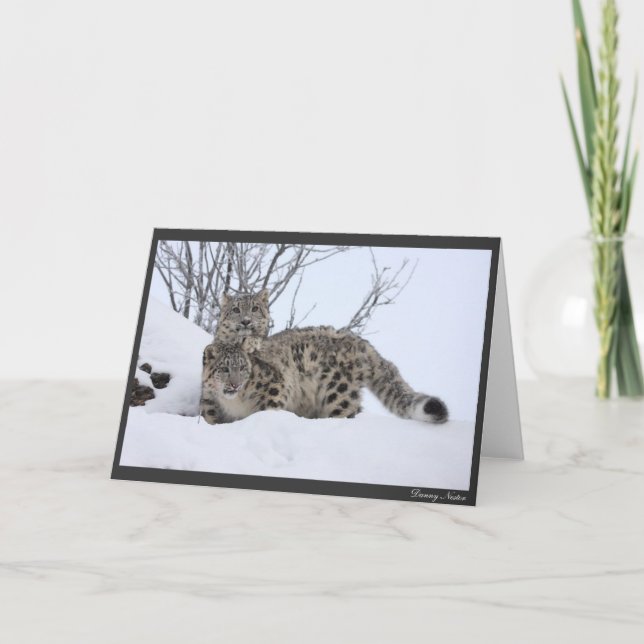 Carte Moi et mon copain (Devant)