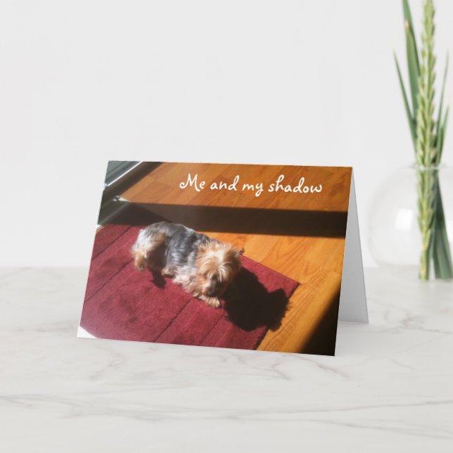 CARTE MOI/MON OMBRE SOUHAITE UN JOLI ANNIVERSAIRE (Devant)