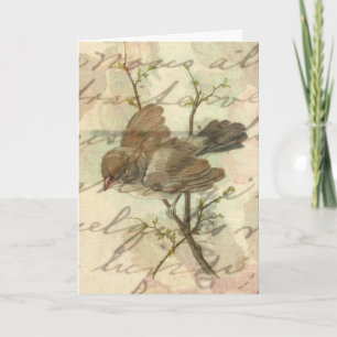 Carte Moineau vintage avec fond manuscrit