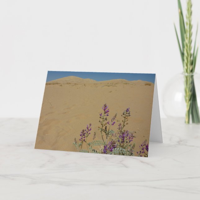 Carte Mojave Indigo Bush et Kelso Dunes (Devant)
