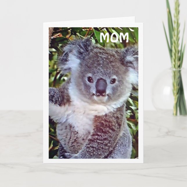 CARTE MOM="KOALA BANTHDAY GREETINGS" CÉLÉBRE VOTRE JOUR  (Devant)