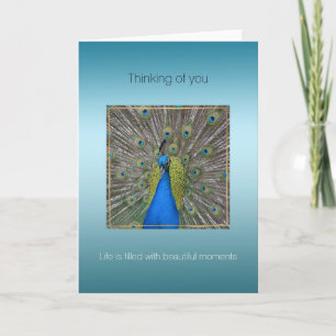 Carte Moment Aqua Peacock