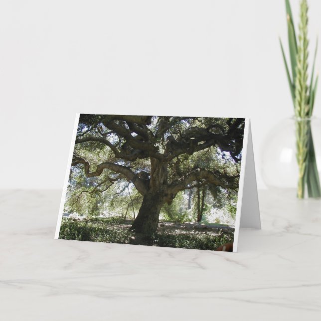 Carte Mon chêne préféré (Devant)