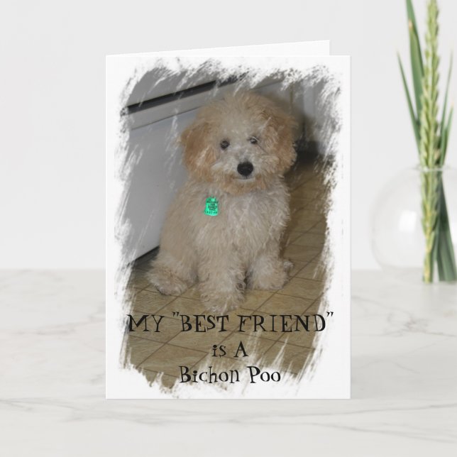 Carte MON "MEILLEUR AMI" est un Bichon Poo (Devant)