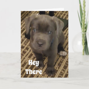 CARTE MON SOUHAIT EST UN "KISS" DE VOUS À VOS * ANNIVERS