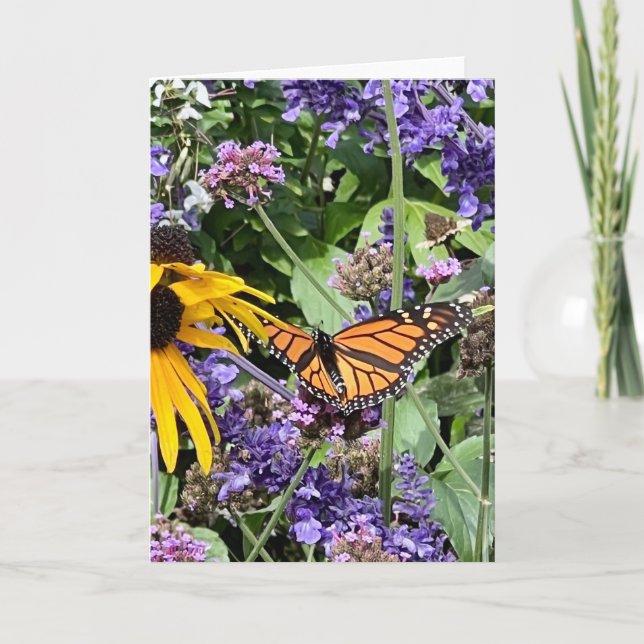 Carte Monarch Butterfly (Devant)