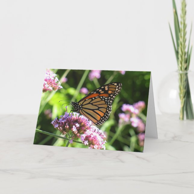 Carte Monarch Butterfly Notecard (Devant)