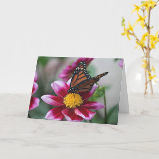 Carte Monarch Butterfly on Deep Pink Dahlia Photo Blank