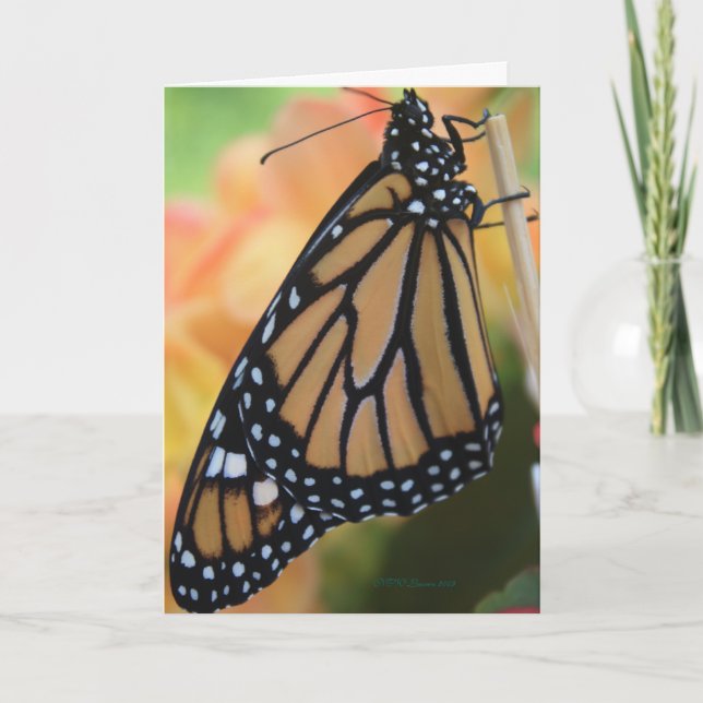 Carte Monarque (Devant)