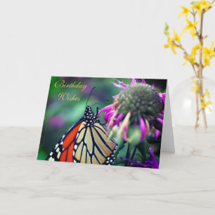 Carte Monarque Papillon Nature Anniversaire