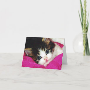 Carte Mondes Cutest Kitten
