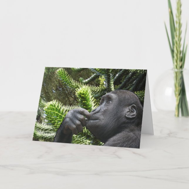 Carte Monkey Puzzle. (Devant)