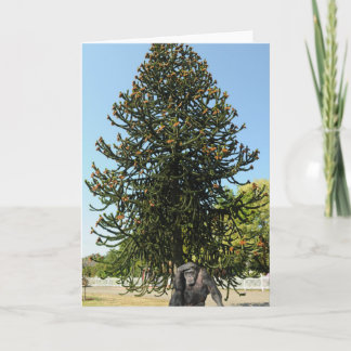 Carte Monkey Puzzle & Puzzled Gorilla.