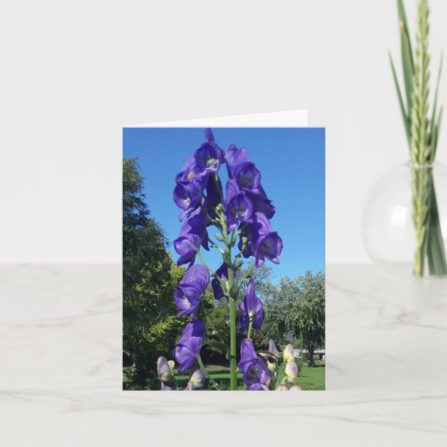 Carte Monkshood Blues (Devant)