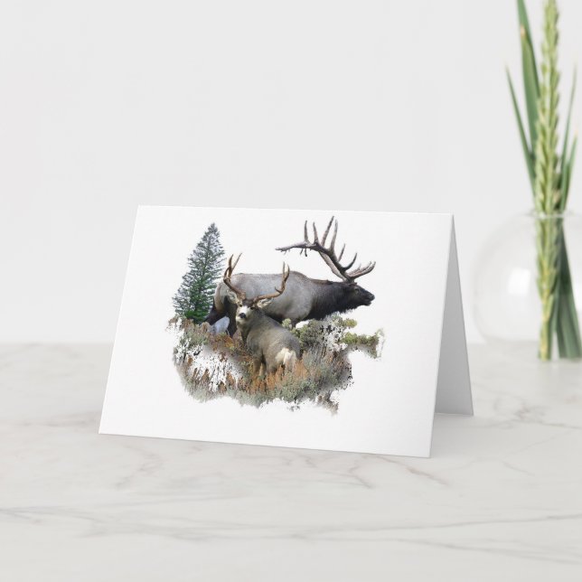 Carte Monster bull trophée buck (Devant)