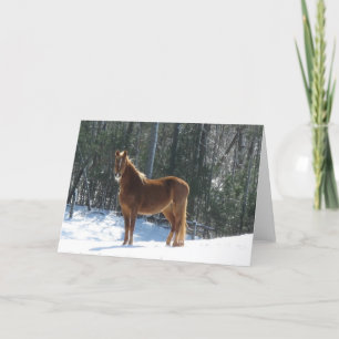 Carte Montre d'hiver