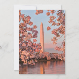 Carte Monument Washington avec fleurs de cerisier