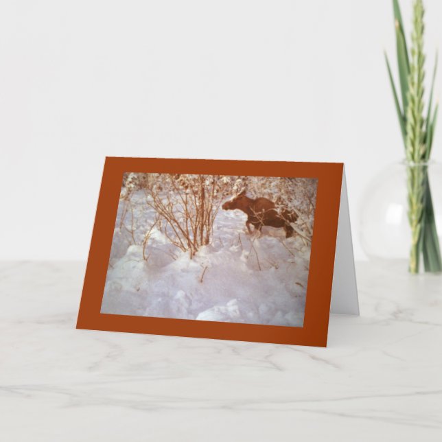 Carte Moose in Alaska Blank Greeting Card (Devant)