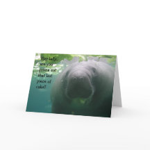 Morceau de bout d'anniversaire de lamantin de