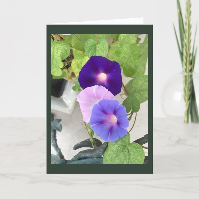 Carte Morning Glory Trio Blank  (Devant)