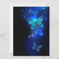 Morpho Butterfly in the Dark Background
