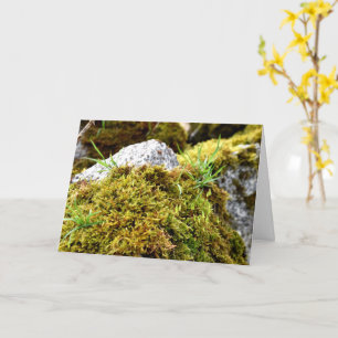 Carte Mosses, Printemps éveil