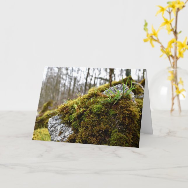Carte Mosses, Printemps éveil (Fleur jaune)