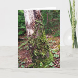 Carte Mossy Tree
