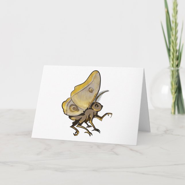 Carte Moth (Devant)