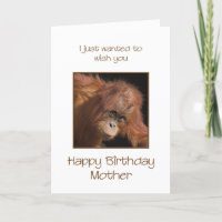 Mother Birthday, Orang Utan