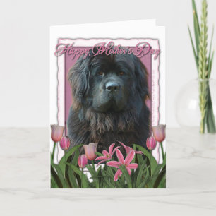 Carte Mothers Day - Pink Tulips