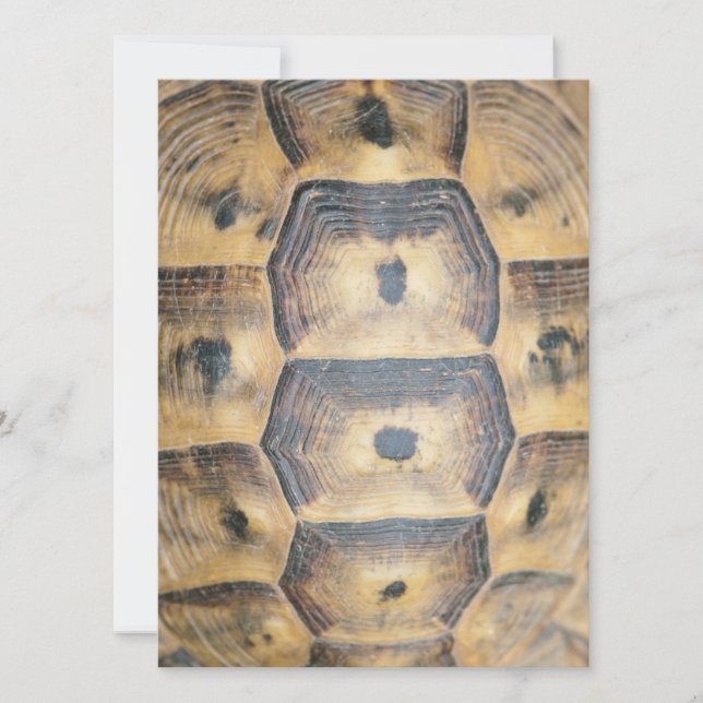 Carte Motif Tortoise Shell (Devant)