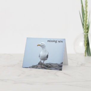 Carte Mouette